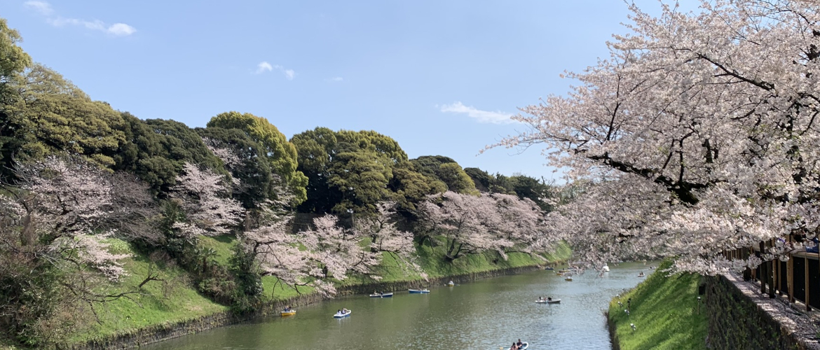 best time to travel to Japan