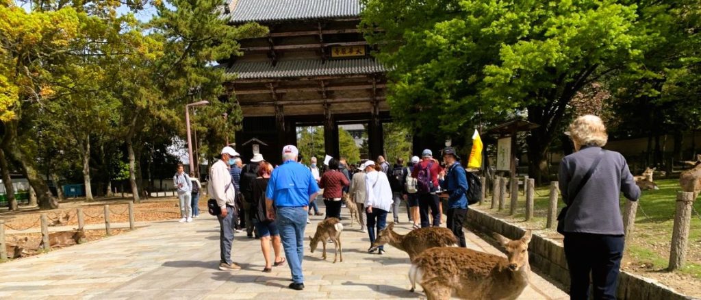 South Korea tours packages from UK