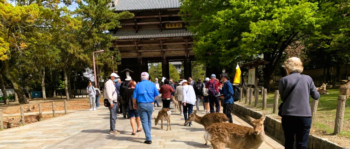 Japan South Korea tours from Canada