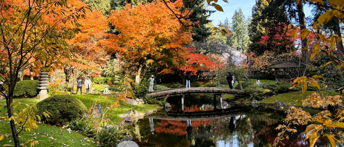 tours of Japan tour package from Vancouver fall colours