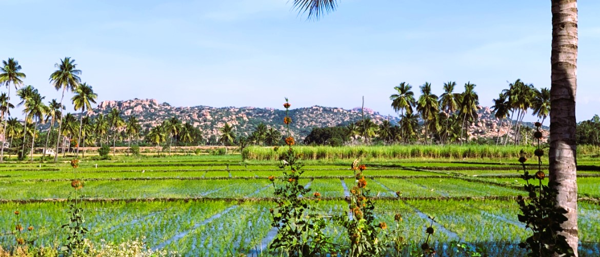 Best India tours from Canada with best India tour companies in Canada - fully guides from Vancouver, Canada