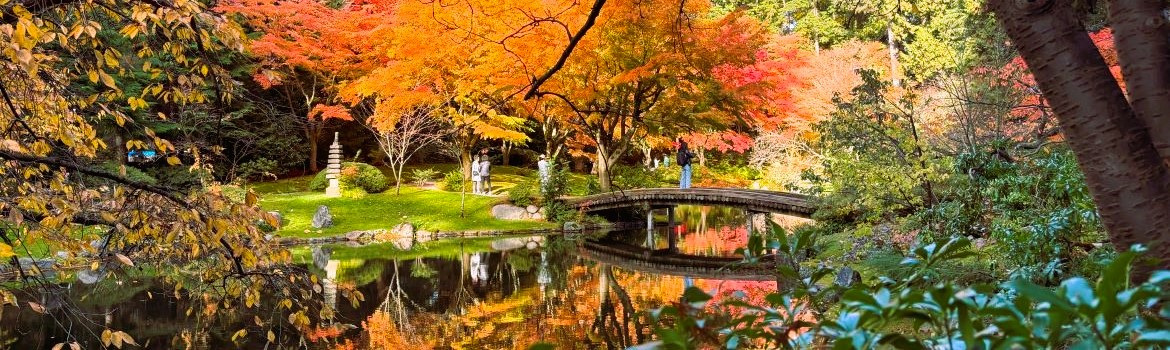 Japan fall colors autumn foliage tours featuring orange and red leaves