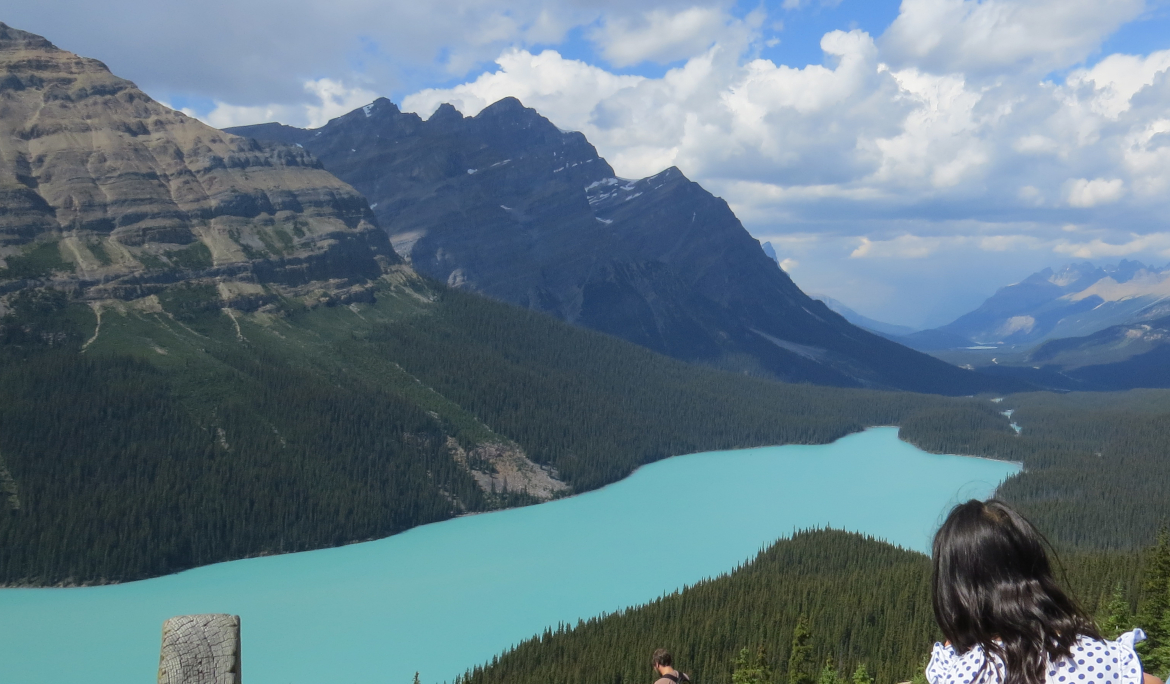 best visitors to Canada emergency medical insurance 