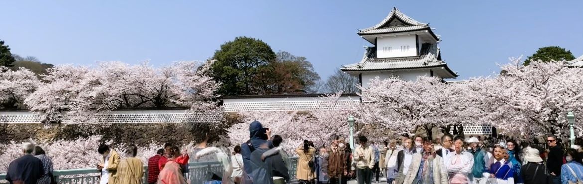 Japan small group tours 2025, 2026 - best Japan tours packages Japan small group tours 2025, 2026