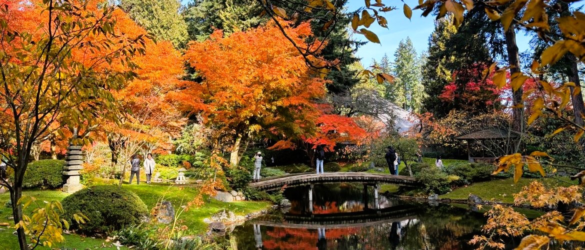 Japan tours 2026, 2027 - we create happy memories