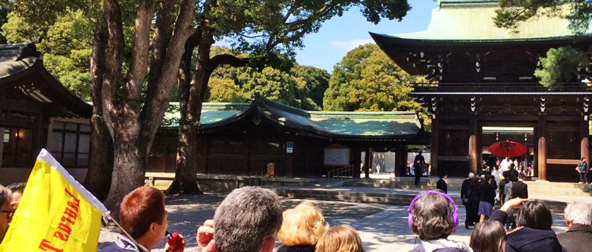 small group Japan tours highly rated by travellers from USA