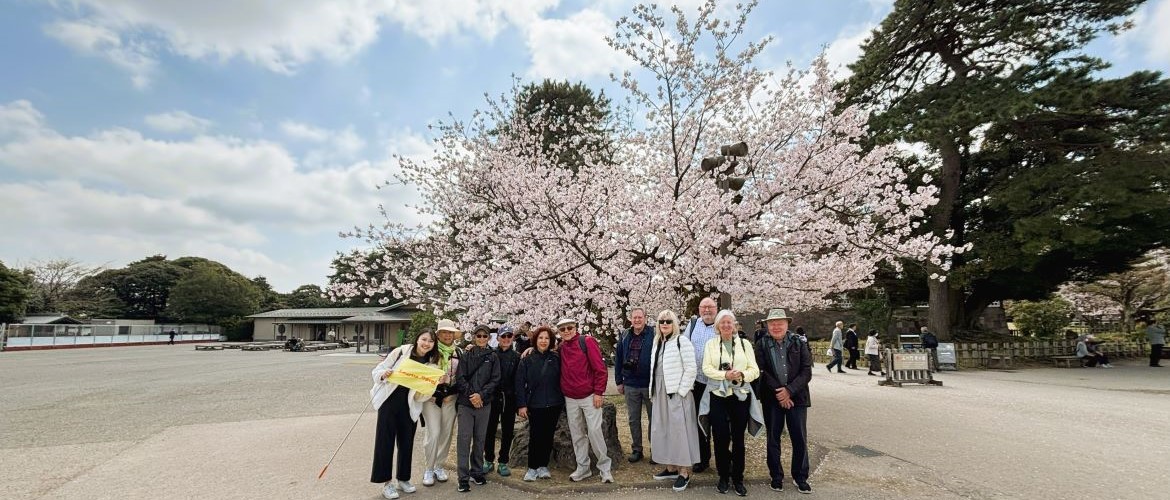 Japan Cherry Blossom Tours - Kanazawa Castle