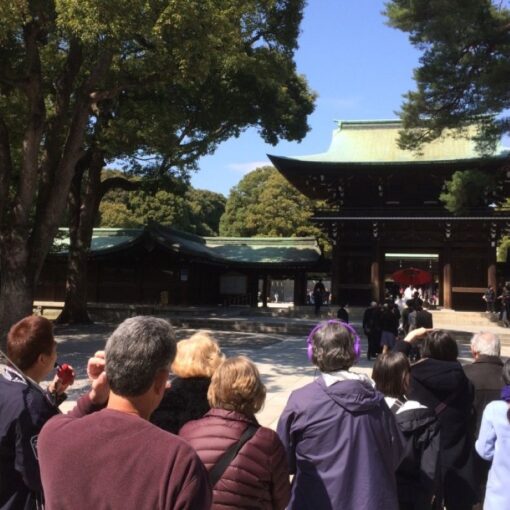 best Japan tours by Laurus Travel