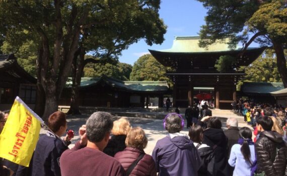 best Japan tours by Laurus Travel