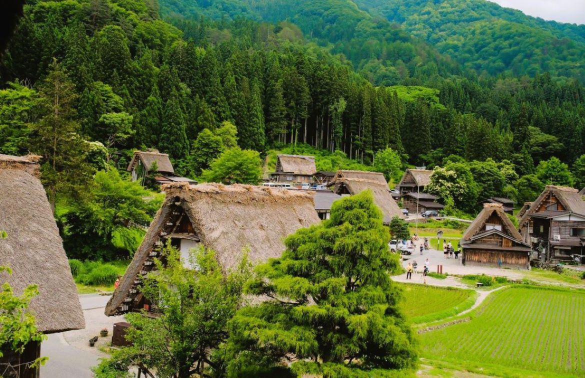 Japan tours from Canada - Laurus Travel group travel to Japan