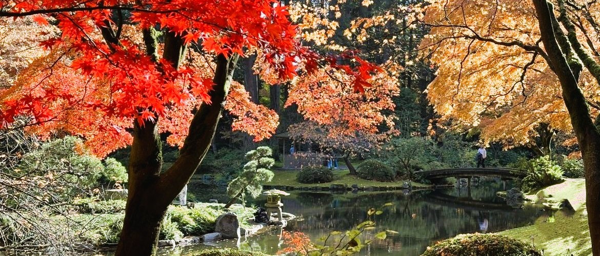 most popular Japan tours for autumn leaves, fall colours