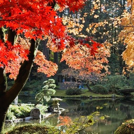 Japan fall colours tours