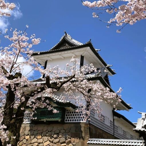 best Japan tours focusing on culture, history, nature & food