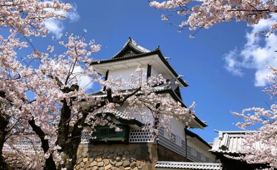 best Japan tours focusing on culture, history, nature & food