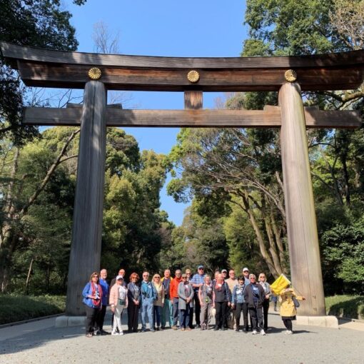 Japan Tour Packages for Active Seniors