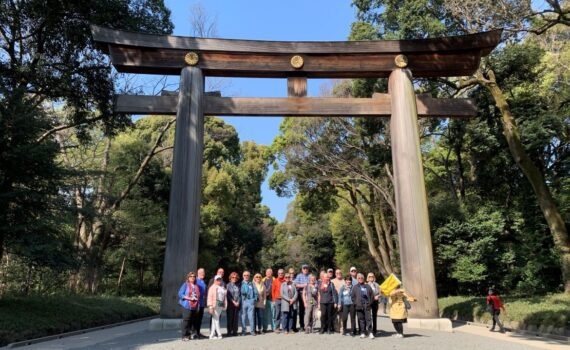 Japan Tour Packages for Active Seniors