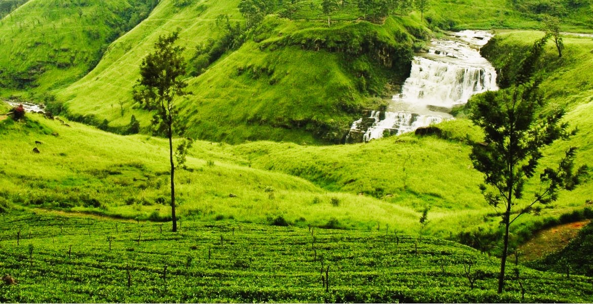 best Sri Lanka travel packages for couples and families