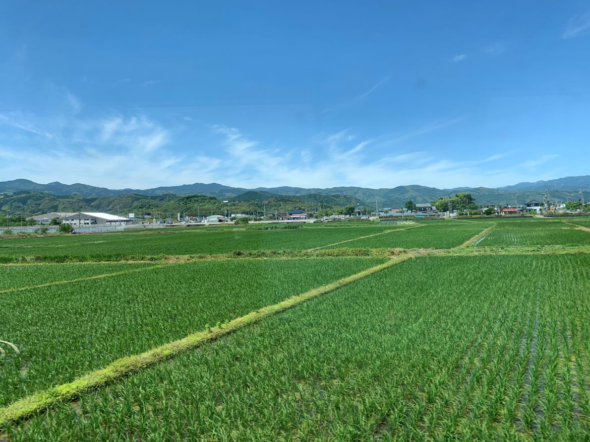 Discover Kochi: Japan’s Coastal Gem of Culture, Nature, and Warm Hospitality