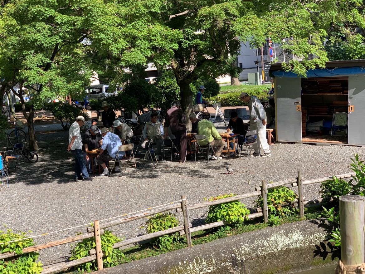 Discover Kochi: Japan’s Coastal Gem of Culture, Nature, and Warm Hospitality