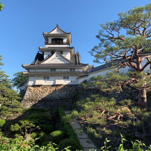 Discover Kochi: Japan’s Coastal Gem of Culture, Nature, and Warm Hospitality