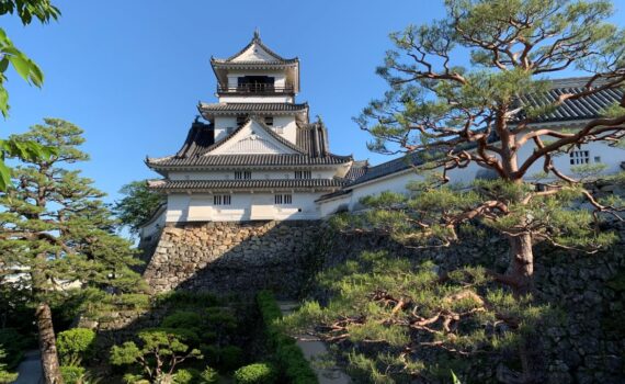 Discover Kochi: Japan’s Coastal Gem of Culture, Nature, and Warm Hospitality